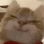 老邓的头像-腾渊科技论坛